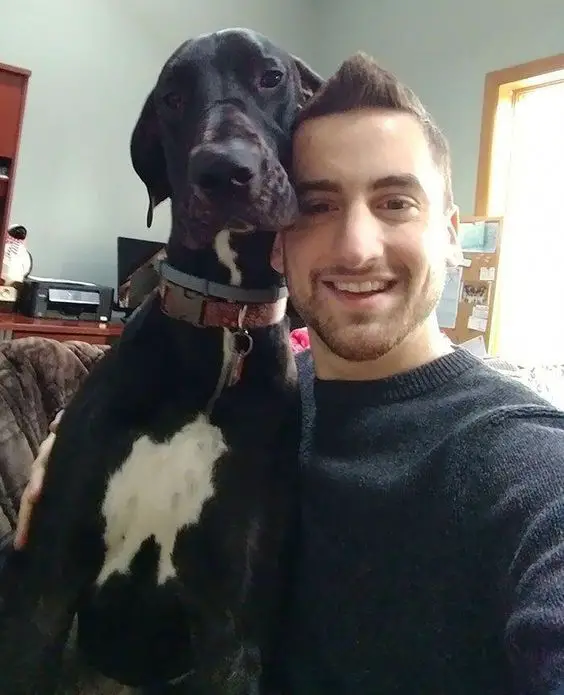 Great Dane selfie with a guy