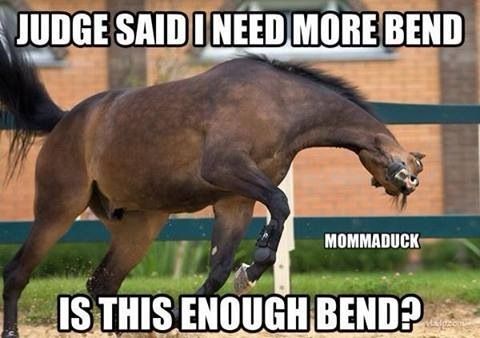 Funny Horse Meme running while bending its leg and a text 