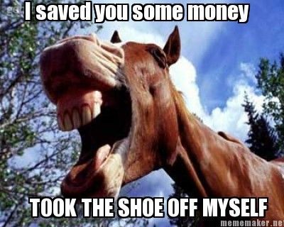 Funny Horse Meme of a horse laughing and a text 