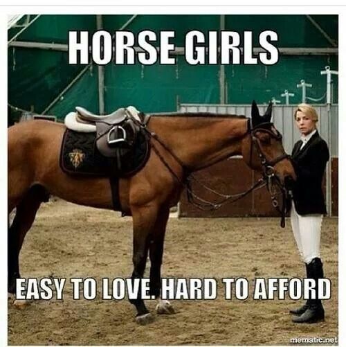 Funny Horse Meme of a girl with a horse and a text 