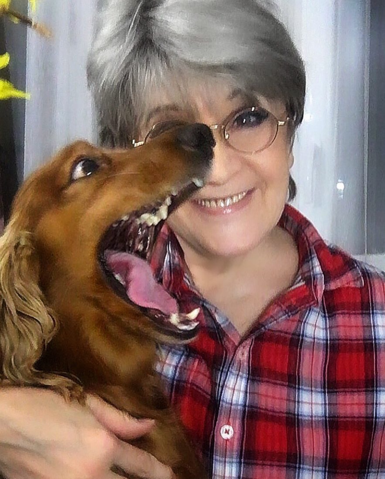 a woman embracing a Cocker Spaniel opening its mouth