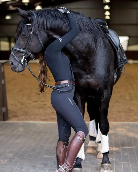 a cow girl hugging a black horse