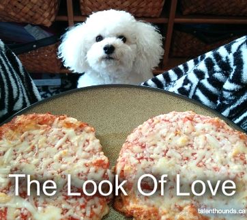 Poodle peeking behind the plate with two pizzas
