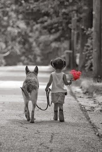 A kid holding a bunch of flowers while walking in the street with a German Shepherd