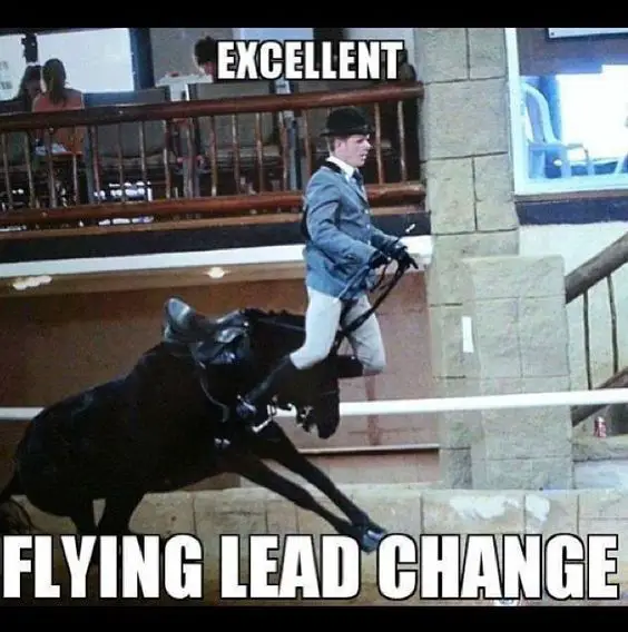 Funny Horse Meme of a black horse stopping and the man is flying forward and a text 