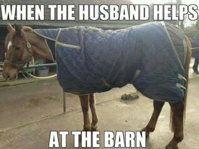 Funny Horse Meme of a horse covered in blanket and text 