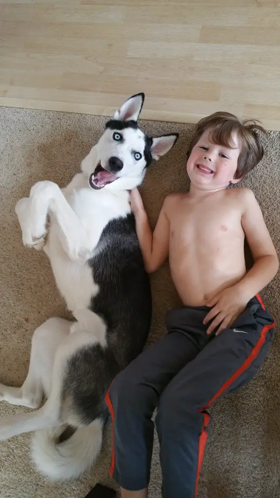 a boy lying on the carpet with a Husky puppy next to to him