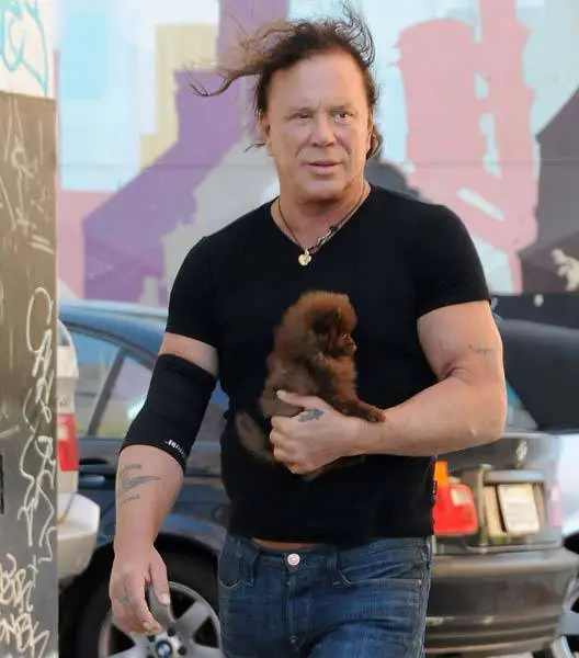 Mickey Rourke walking in the street while carrying his Pomeranian brown 