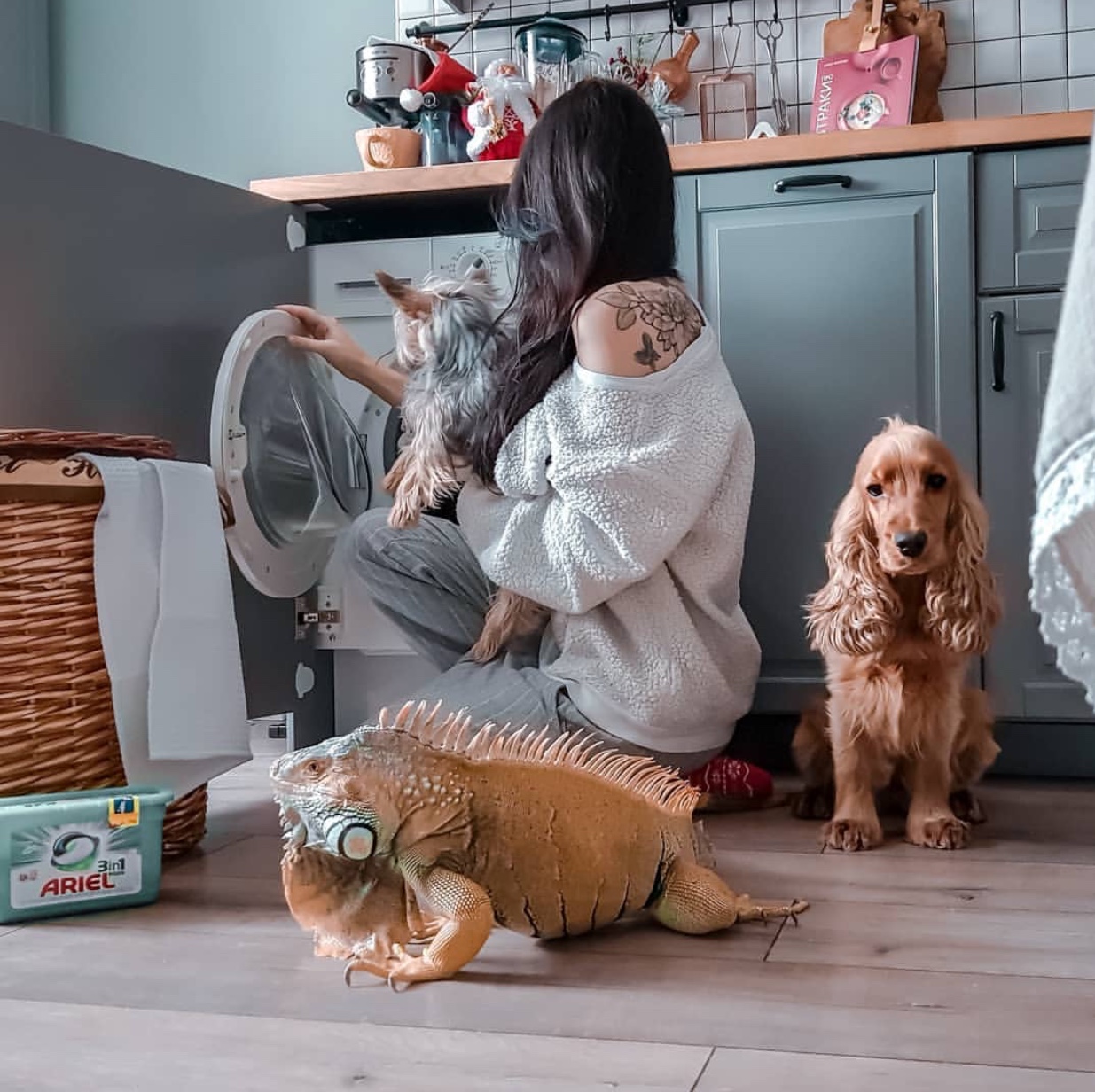 A woman doing her laundry while holding her yorkie while a Cocker Spaniel is sitting behind her