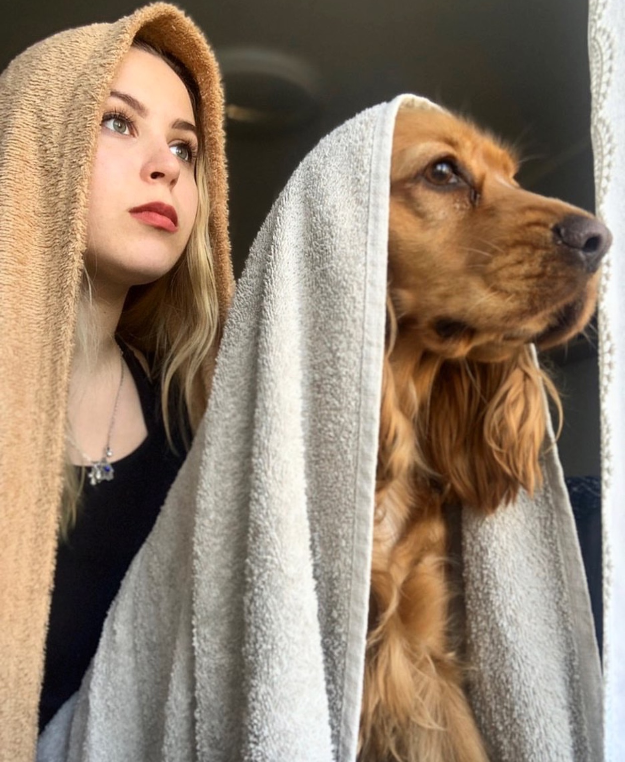 A English Cocker Spaniel with a towel over its head and a woman behind him with a brown blanket over her head