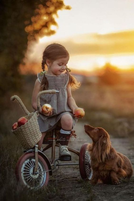 A young girl in her bicycle while showing a Dachshund sitting on the ground in front of her the apples in her hands