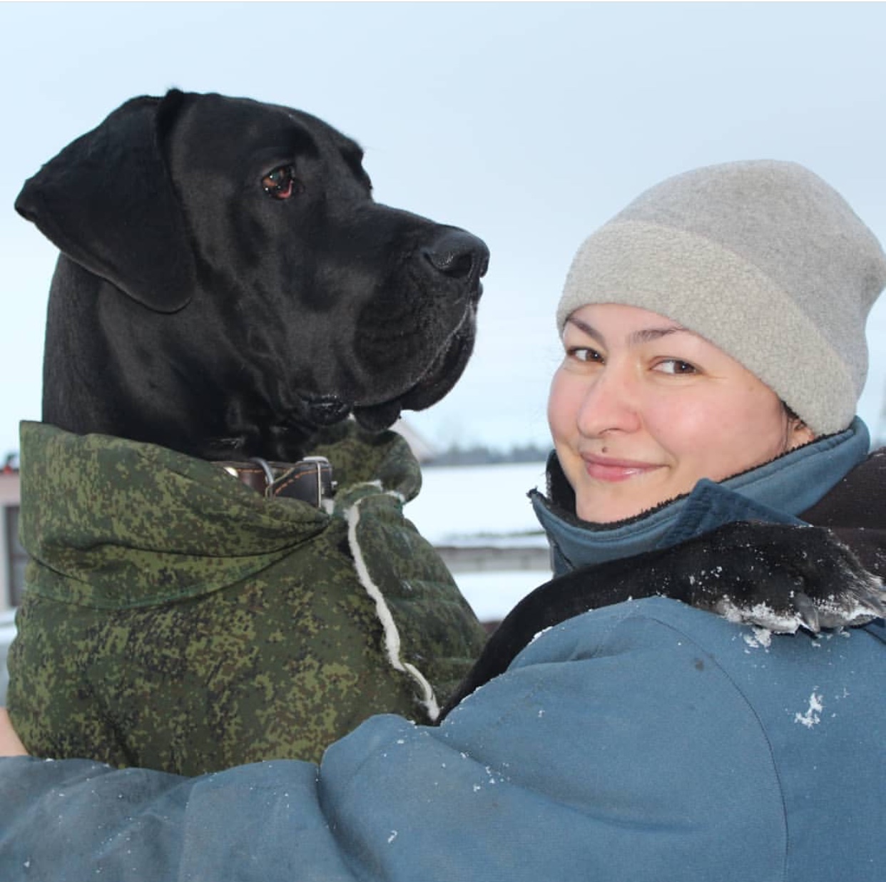 a woman embracing a Great Dane wearing a jacket while outdoors during winter