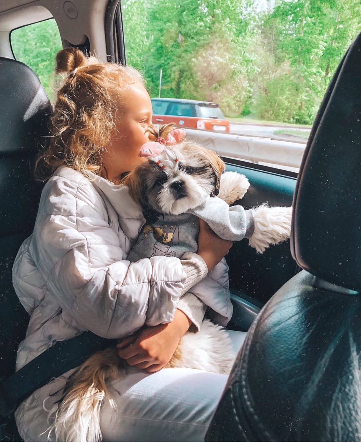 a girl sitting in the back seat with her Shih Tzu sitting on her lap