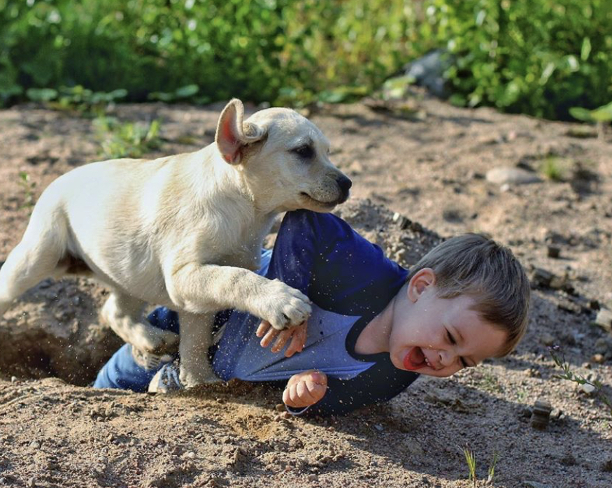 A kid in a hole on the ground with a Labrador retriever puppy walking next to him