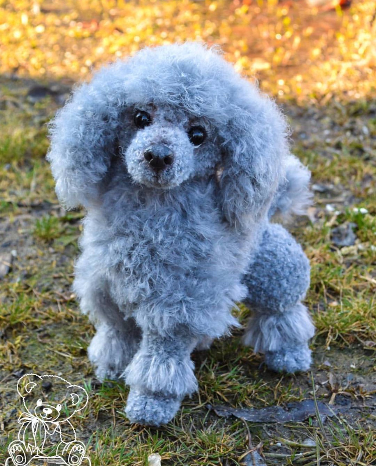 a gray Poodle puppy standing in the yard