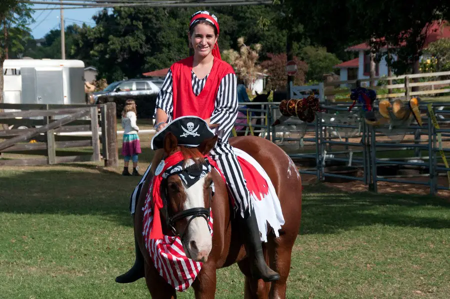 A Horse in pirate costume with a woman sitting on its back