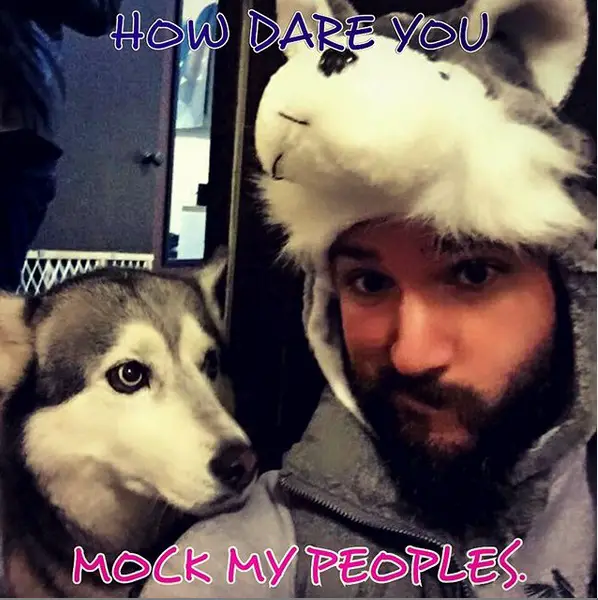 a man in husky costume taking a selfie with a Husky staring at him photo and with text - How dare you mock my peoples