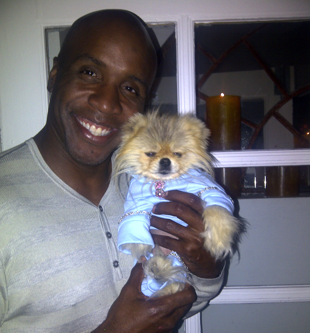 Barry Bonds holding his Pomeranian wearing a blue sweater
