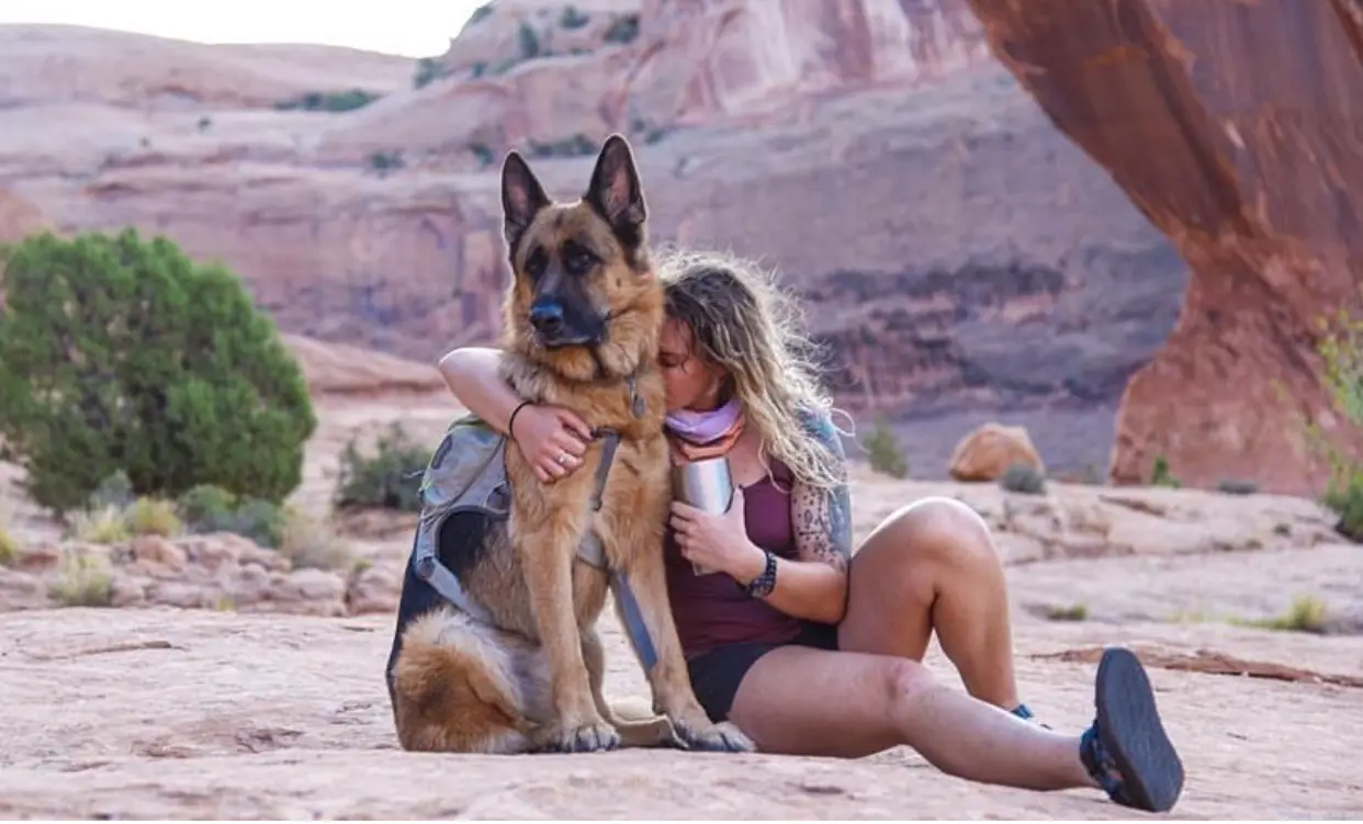 German Shepherd sitting in the sand next to a woman hugging him
