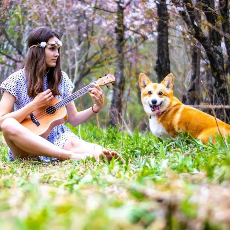a lady playing her ukulele while sitting on the grass in front of her Corgi in the forest