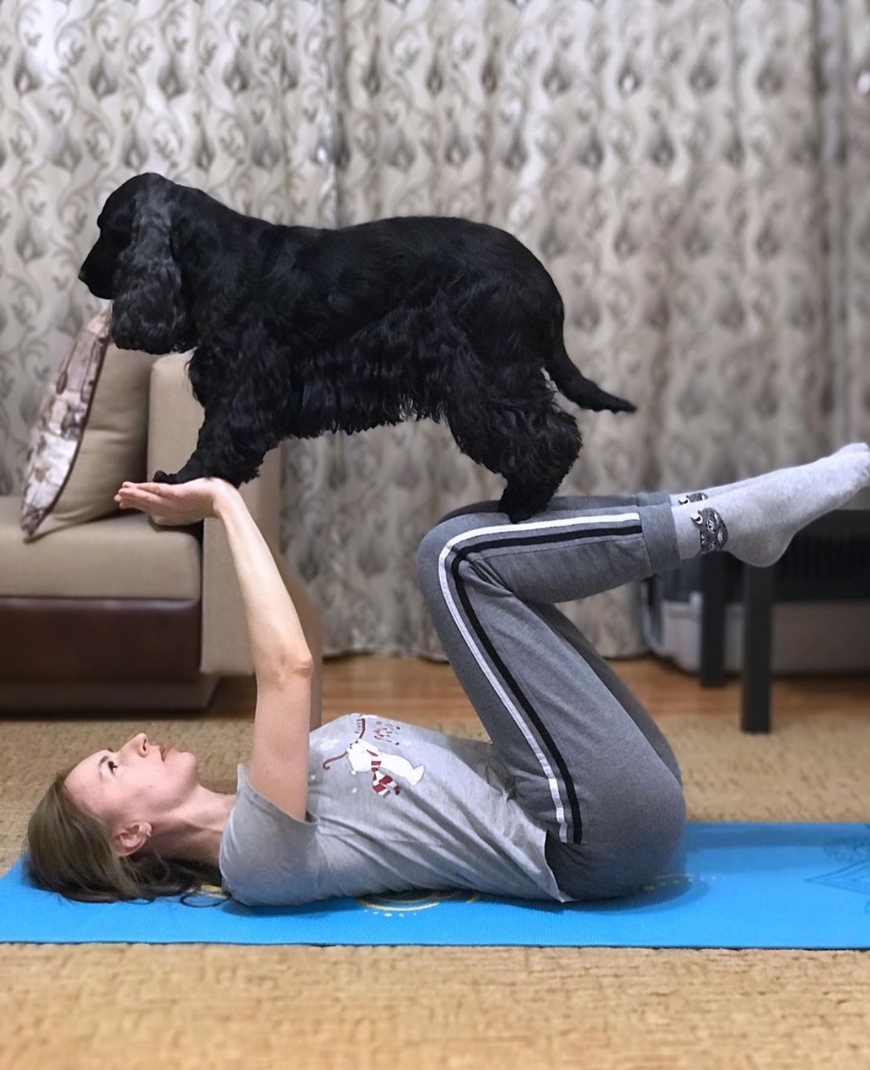 A black English Cocker Spaniel standing on the hand and legs of a woman lying on the yoga mat