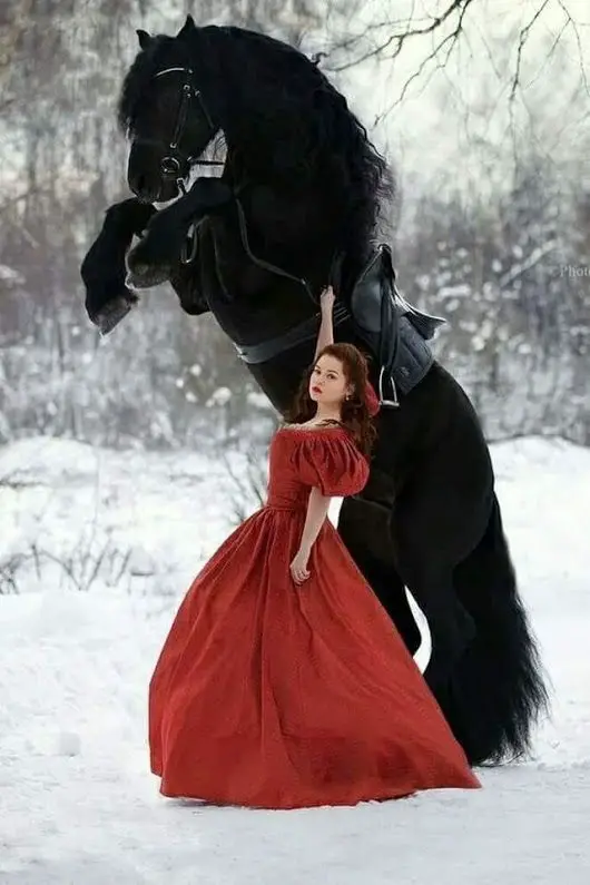 girl on a red gown with a standing black horse in snow