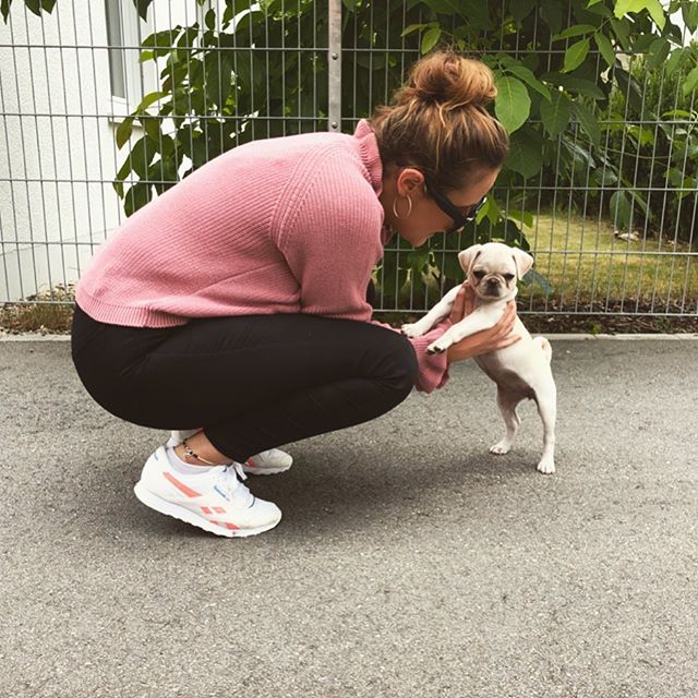 woman holding a Pug puppy standing on the pavement