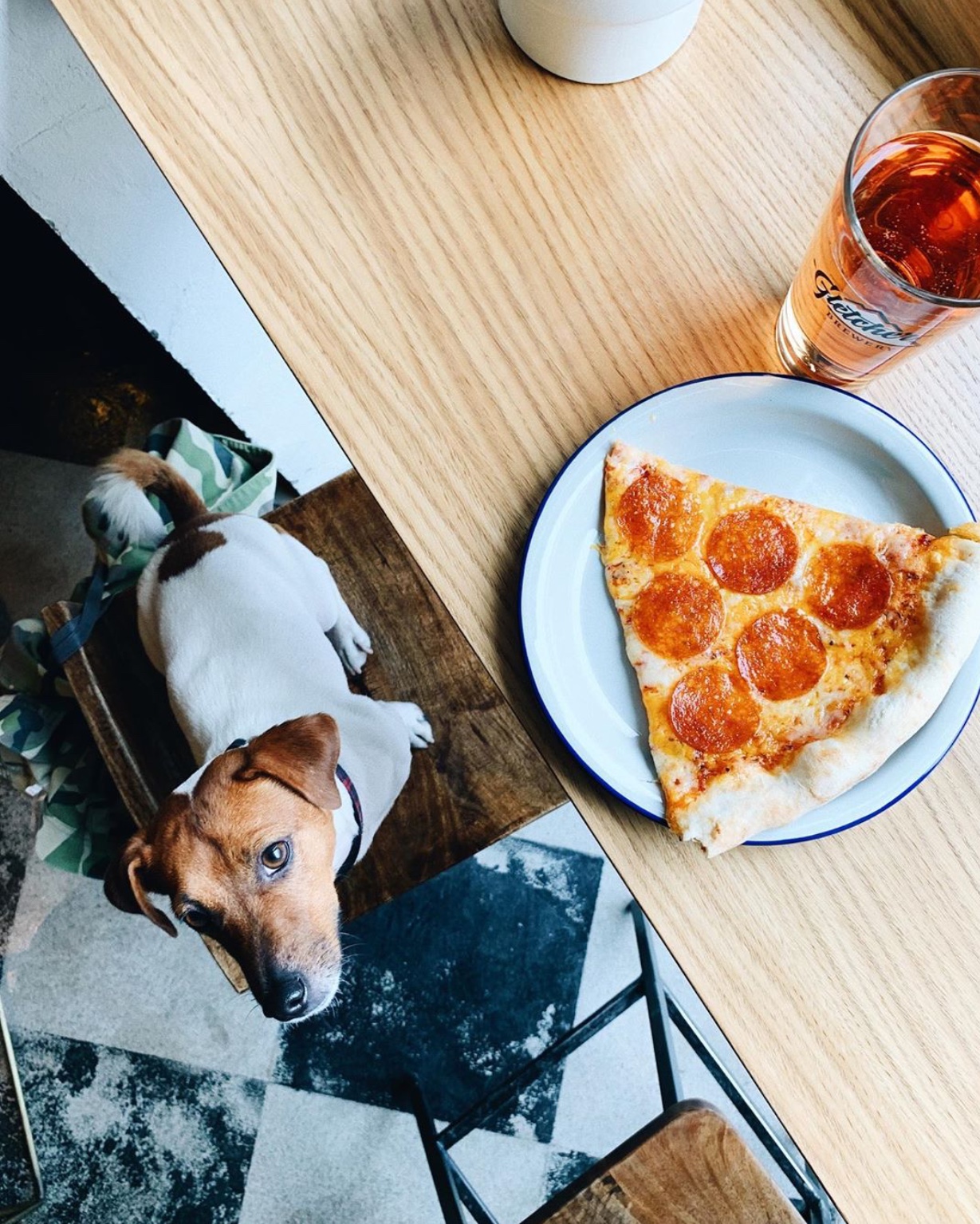 Jack Russell Terrier siting on the chair next to table with a slice of pizza on a plate on top of the table