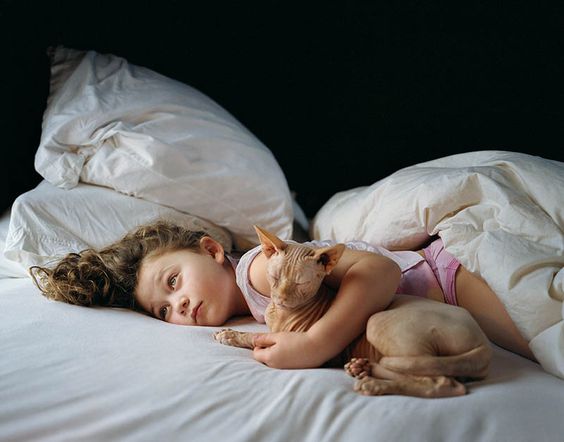 A young girl lying on the bed with its arms around a Sphynx Cat