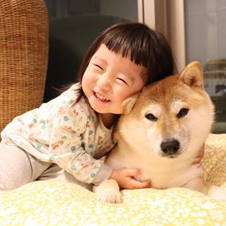 a little girl smiling while embracing an Akita Inu lying on the bed