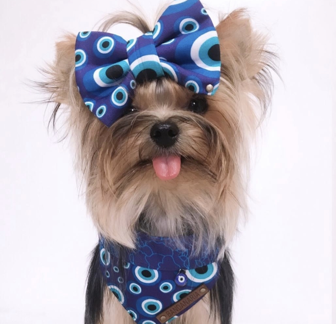 Yorkshire Terrier with its tongue out wearing matching blue ribbon and scarf designed with circle shapes in a white background