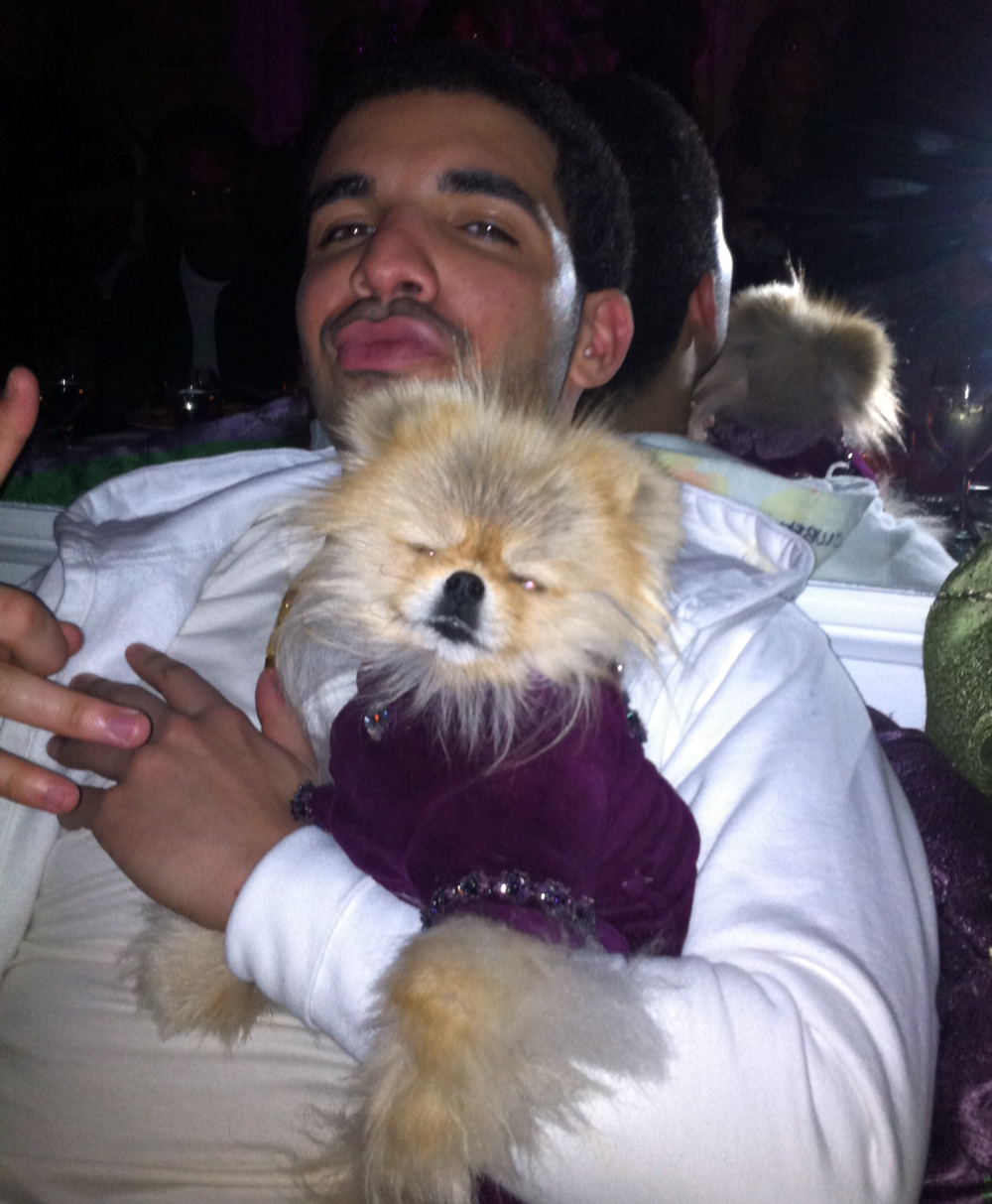 Drake sitting with his Pomeranian in his arms