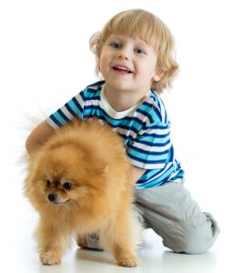 a boy holding a Pomeranian
