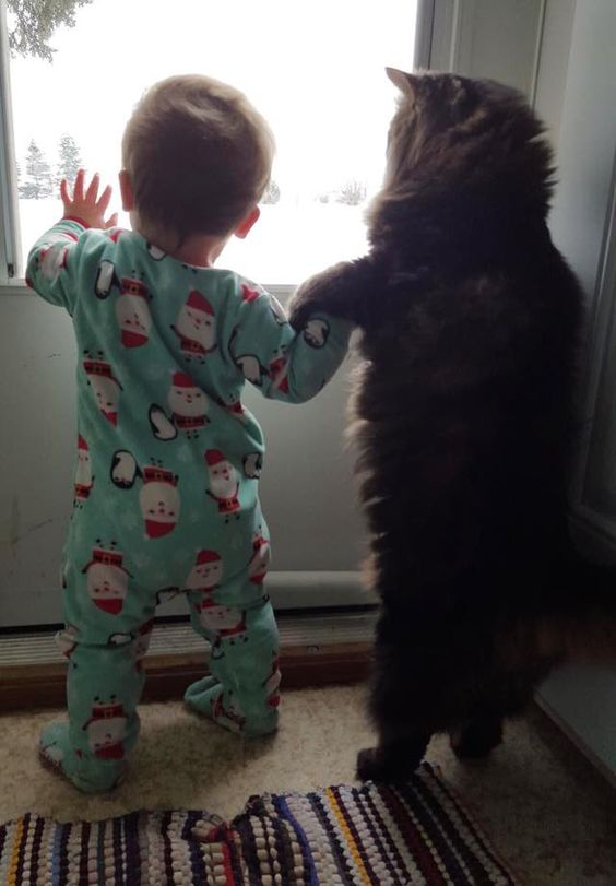 Maine Coon cat and baby standing on the door while holding the baby's hand