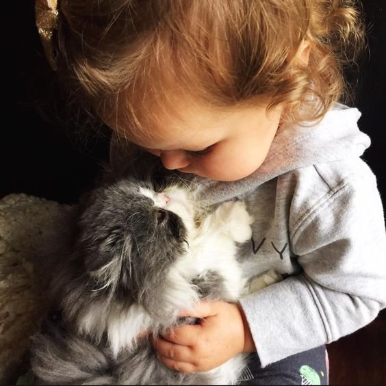 a kid hugging a Persian Cat