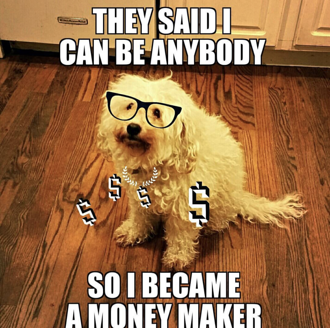 Poodle puppy sitting on the floor photo with text- They said can be anybody so I became a money maker
