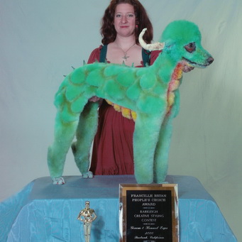 Poodle in dragon haircut standing on top of the table with a woman behind