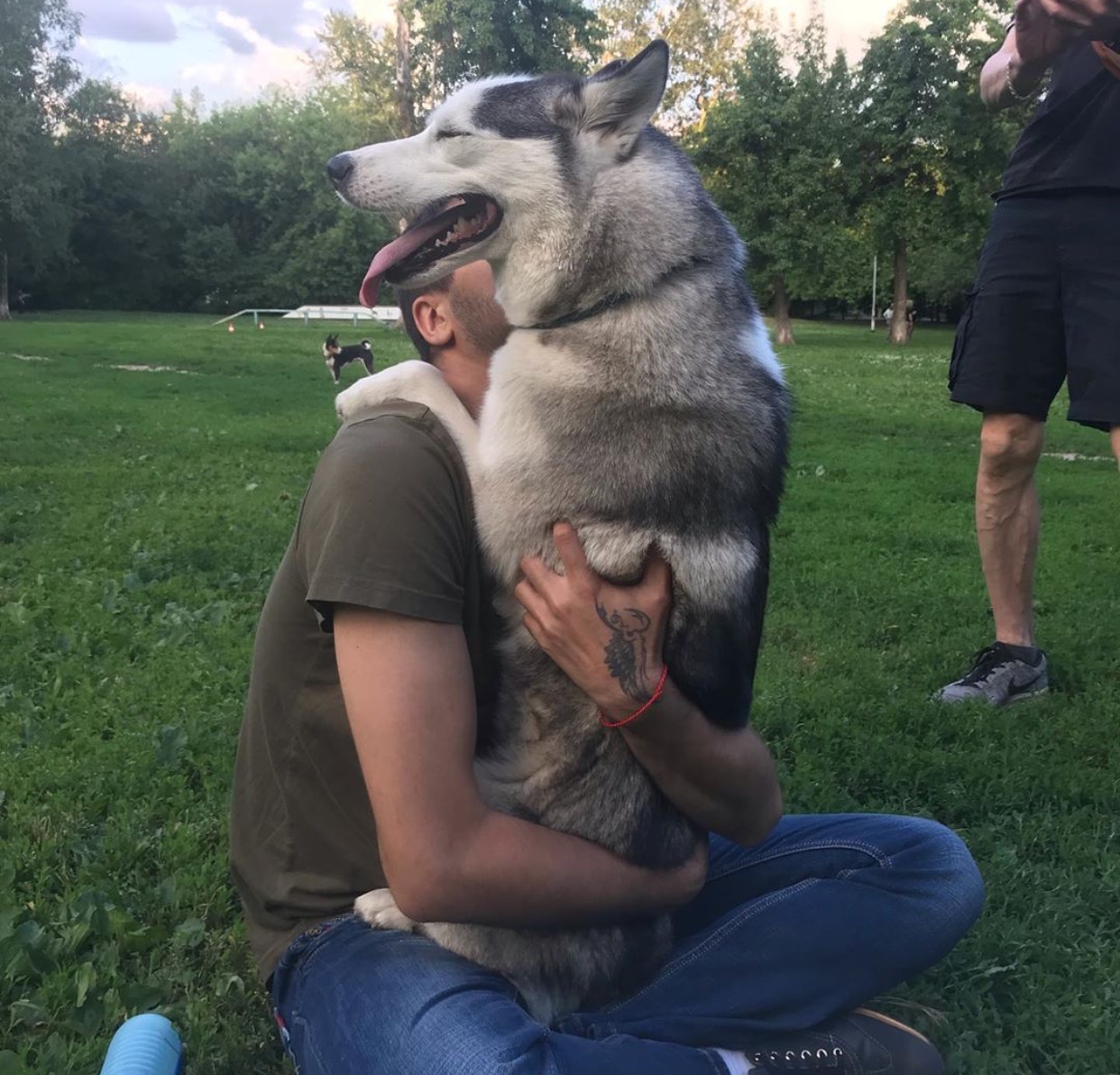 a man sitting on the grass while hugging his Husky