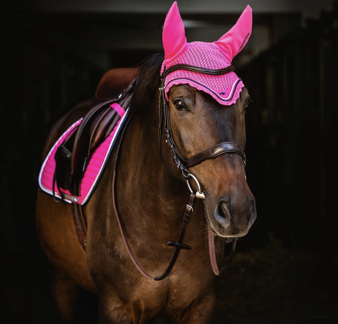A brown Horse wearing a pink head piece with horn