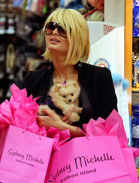 Paris Hilton holding her shopping bags and her Pomeranian