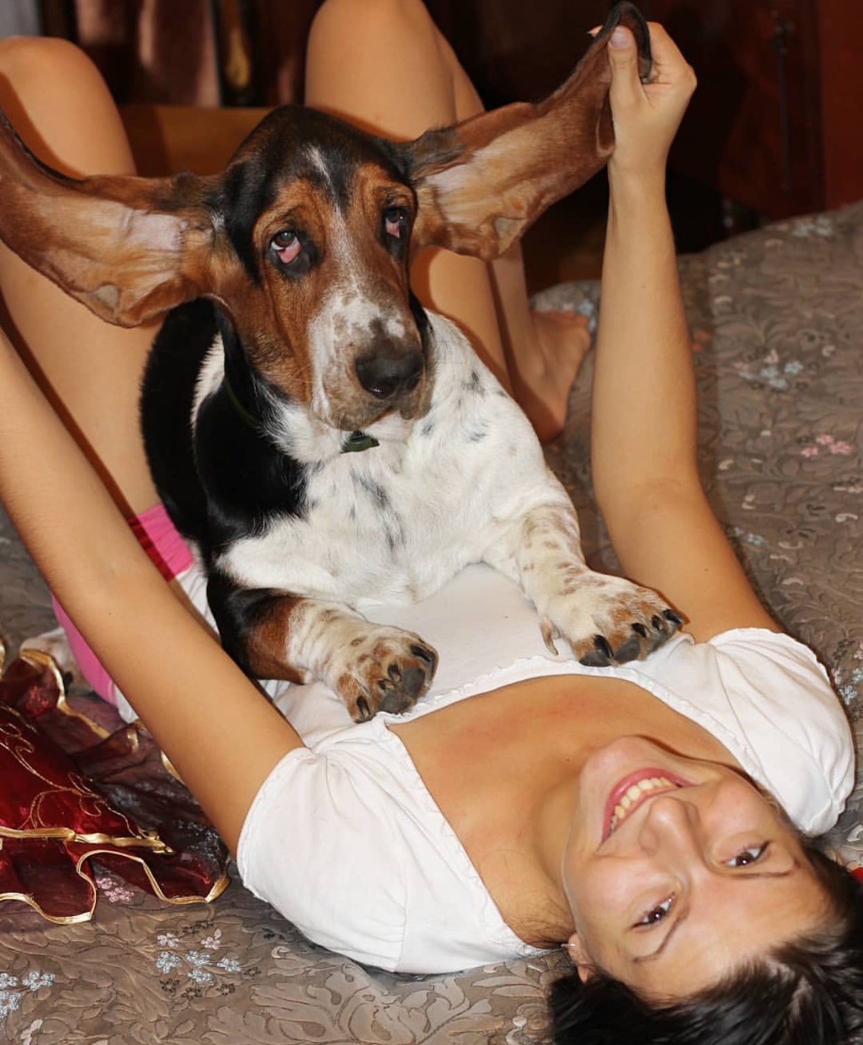 A woman lying on the floor while spreading the ears of a Basset Hound lying on top of her