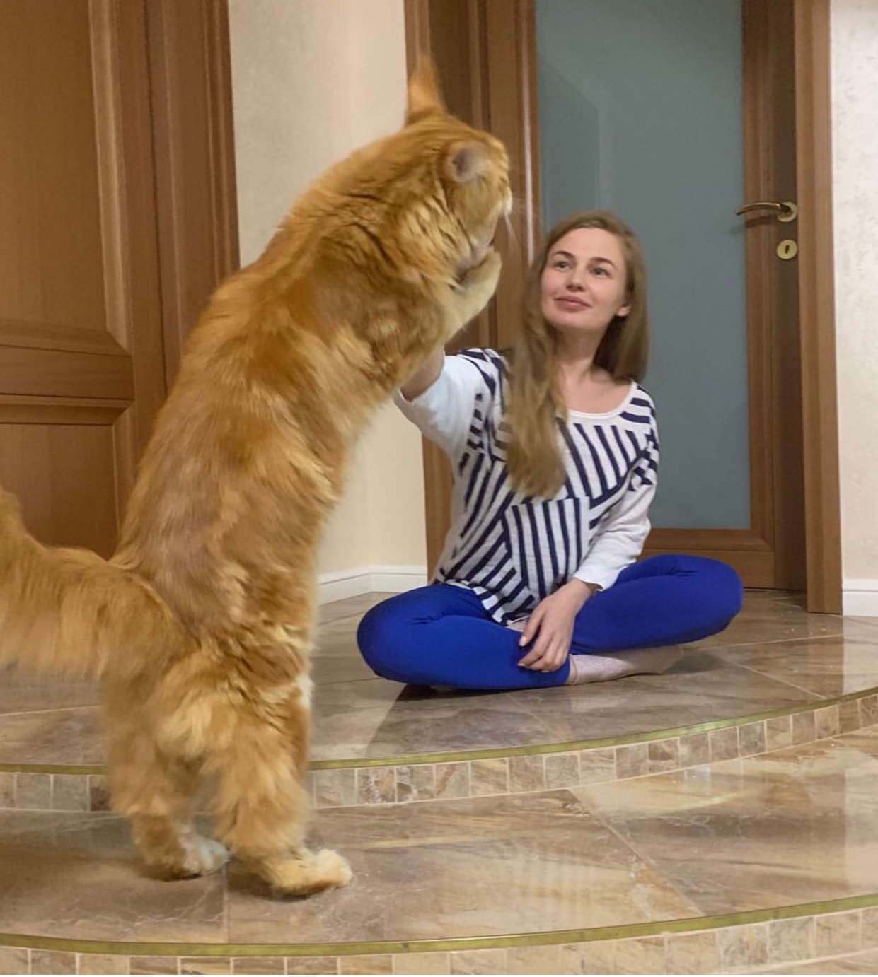 a girl sitting on the floor holding up the hands of a standing up ginger Maine Coon Cat