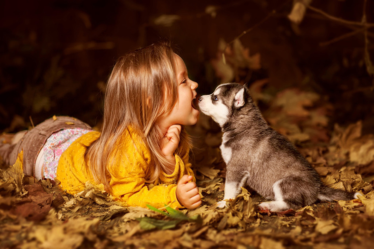 A little girl lying on ground with its mouth wide open in front of a Husky puppy sitting in front of him