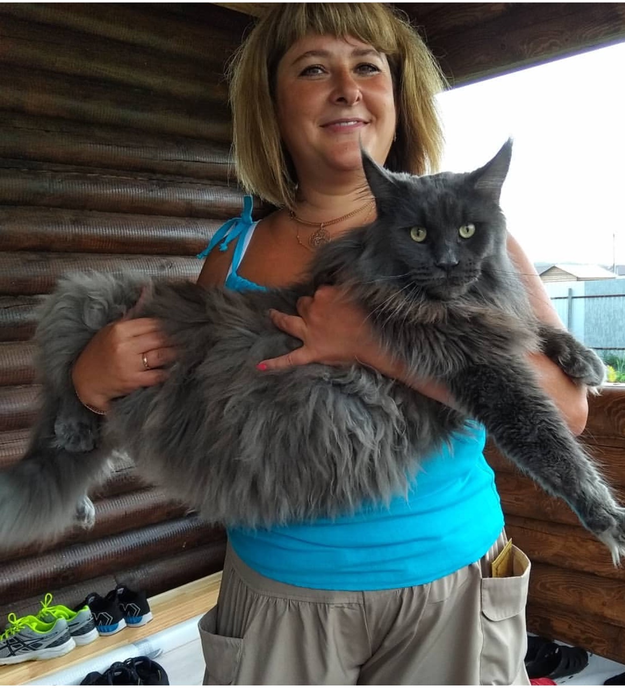 a woman carrying a large gray Maine Coon Cat
