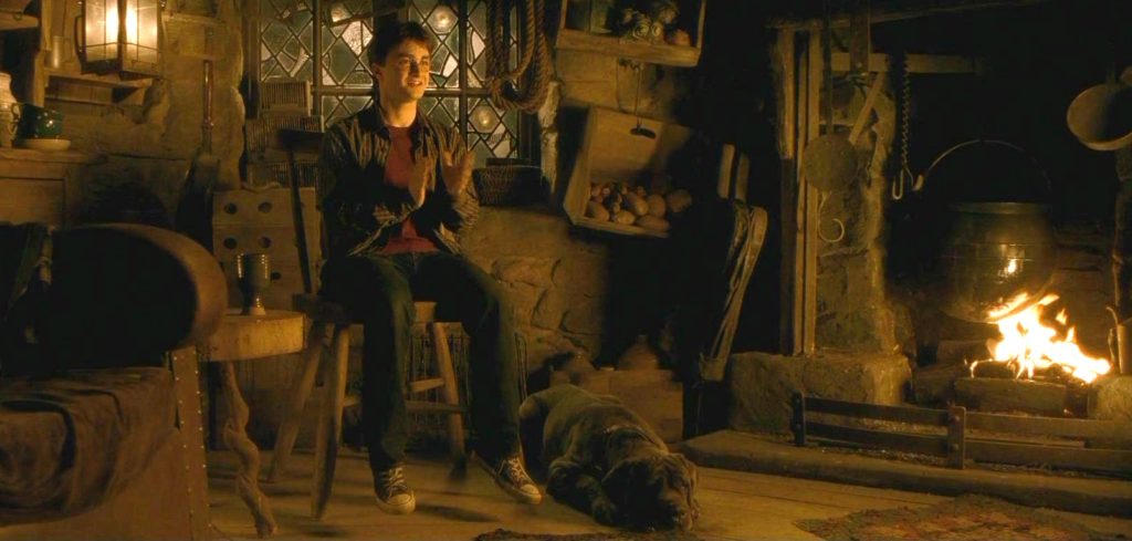 Harry Potter sitting on the chair with a Gentle Giant Mastiff sleeping on the floor