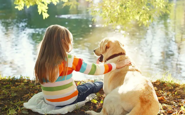 a little girl sitting by the lake while petting a yellow Labrador lying next to her
