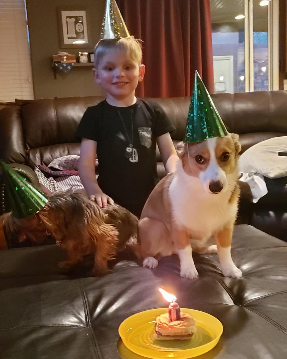 A Corgi, a dog, and a kid wearing birthday cone hats sitting on top of the couch behind its birthday cupcake