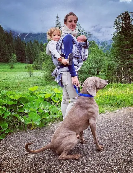 a mother with two babies in her body standing on the road next to her Weimaraner