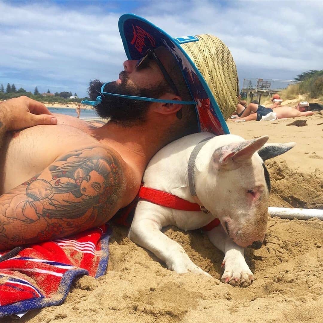 a man sleeping at the beach while making his Bull Terrier his pillow