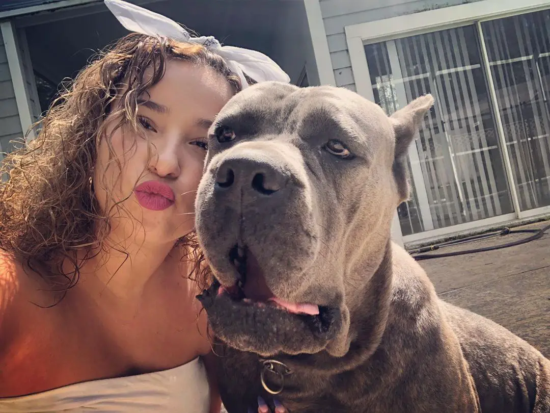 A woman taking a selfie with her Mastiff